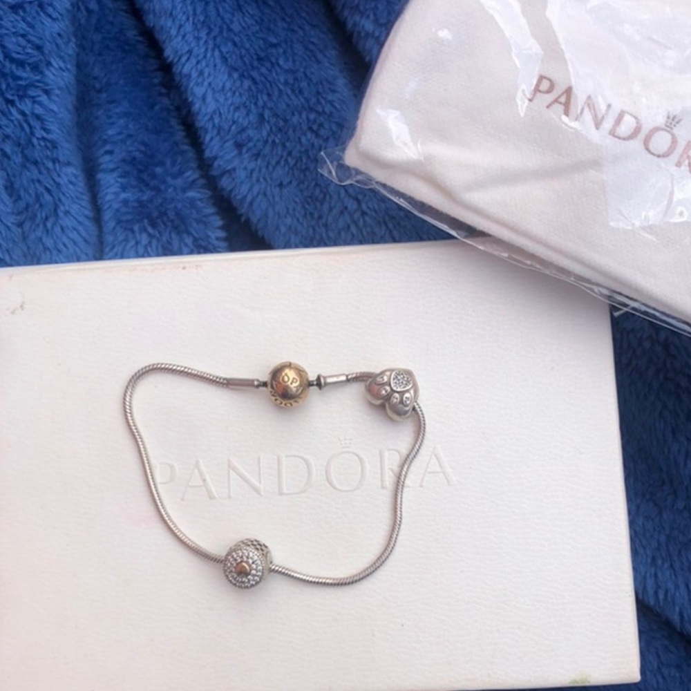 Pandora Essence Collection 14K & Silver Bracelet with two (extra) charms.